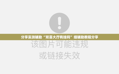 分享实测辅助“双喜大厅有挂吗”细辅助教程分享