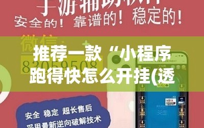 推荐一款“小程序跑得快怎么开挂(透视)”开挂辅助脚本+详细开挂安装教程