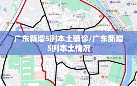 广东新增5例本土确诊/广东新增5例本土情况