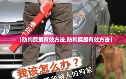 【防狗尿最有效方法,防狗屎最有效方法】