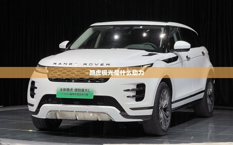 路虎极光是什么动力