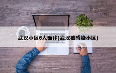 武汉小区6人确诊(武汉被感染小区)