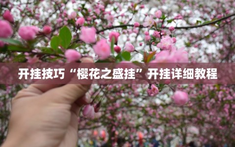 开挂技巧“樱花之盛挂”开挂详细教程