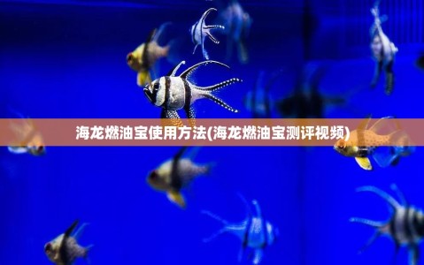 海龙燃油宝使用方法(海龙燃油宝测评视频)