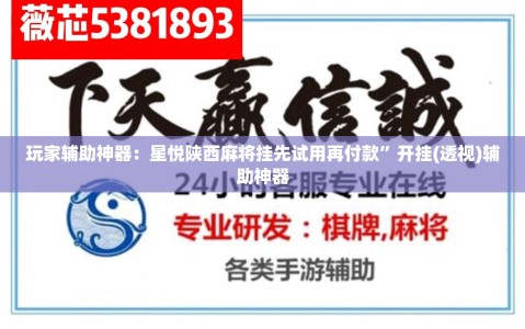 玩家辅助神器：星悦陕西麻将挂先试用再付款”开挂(透视)辅助神器