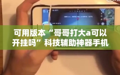 可用版本“哥哥打大a可以开挂吗”科技辅助神器手机版