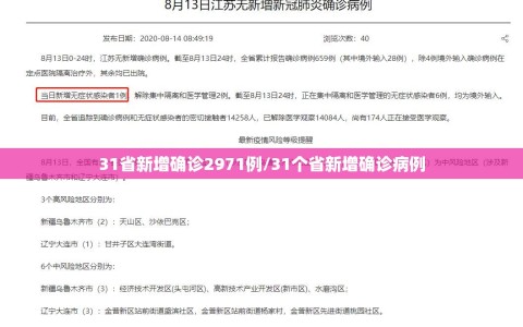 31省新增确诊2971例/31个省新增确诊病例