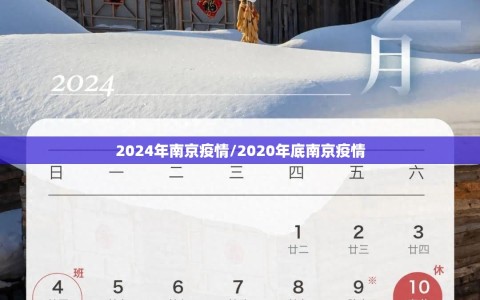 2024年南京疫情/2020年底南京疫情