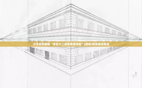 分享实测辅助“家乡大二透视免费观看”(透视)其实确实有挂