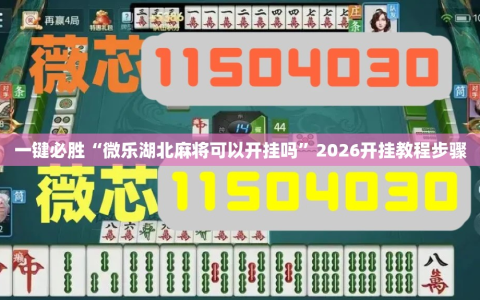 一键必胜“微乐湖北麻将可以开挂吗”2026开挂教程步骤