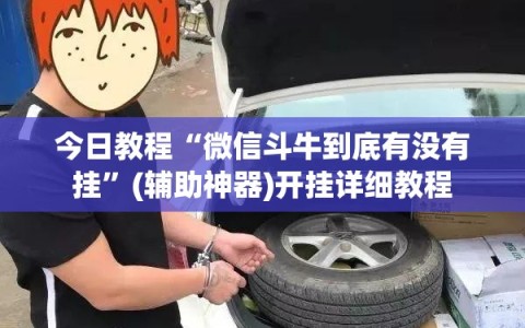 今日教程“微信斗牛到底有没有挂”(辅助神器)开挂详细教程