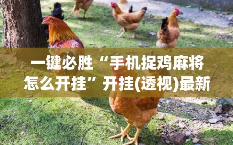 一键必胜“手机捉鸡麻将怎么开挂”开挂(透视)最新辅助详细