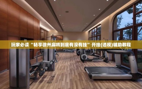 玩家必读“畅享徐州麻将到底有没有挂”开挂(透视)辅助教程