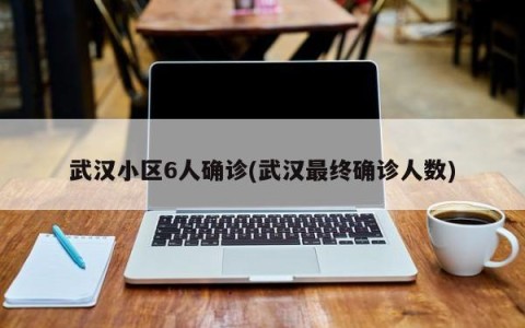 武汉小区6人确诊(武汉最终确诊人数)