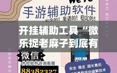 开挂辅助工具“微乐捉老麻子到底有没有挂”(辅助神器)开挂详细教程