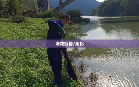 湖花疫情/湖化