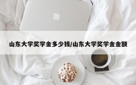山东大学奖学金多少钱/山东大学奖学金金额