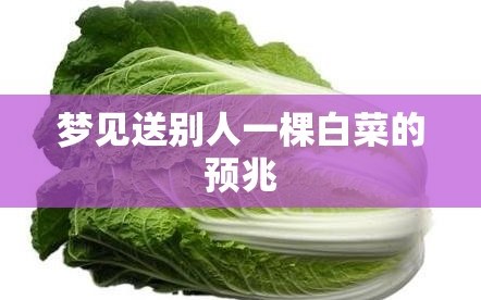 梦见送别人一棵白菜的预兆