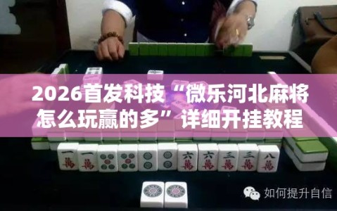 2026首发科技“微乐河北麻将怎么玩赢的多”详细开挂教程