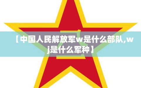 【中国人民解放军w是什么部队,wj是什么军种】