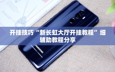 开挂技巧“新长虹大厅开挂教程”细辅助教程分享