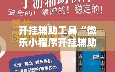 开挂辅助工具“微乐小程序开挂辅助器通用版”详细分享装挂步骤