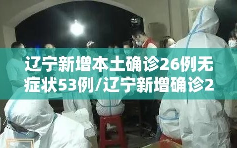辽宁新增本土确诊26例无症状53例/辽宁新增确诊2例 无症状感染者3例