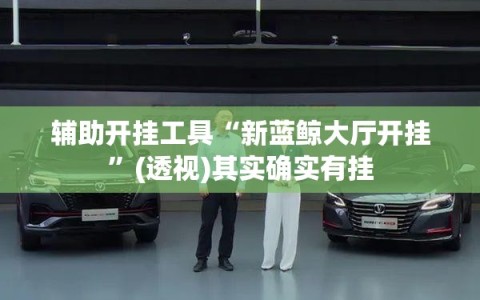 辅助开挂工具“新蓝鲸大厅开挂”(透视)其实确实有挂