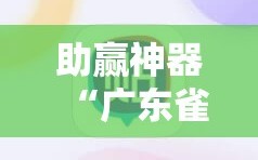 助赢神器“广东雀神试用一天”详细分享装挂步骤