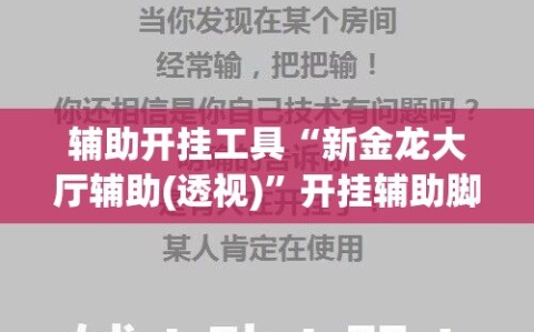 辅助开挂工具“新金龙大厅辅助(透视)”开挂辅助脚本+详细开挂安装教程