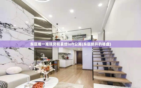 东区唯一准现房精装修loft公寓(东区新开的楼盘)