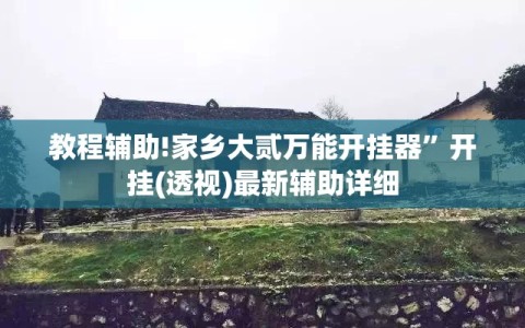 教程辅助!家乡大贰万能开挂器”开挂(透视)最新辅助详细