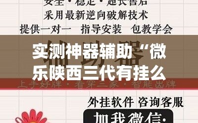 实测神器辅助“微乐陕西三代有挂么”(透视挂)辅助下载教程