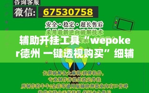 辅助开挂工具“wepoker德州 一键透视购买”细辅助教程分享