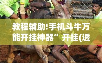 教程辅助!手机斗牛万能开挂神器”开挂(透视)辅助教程