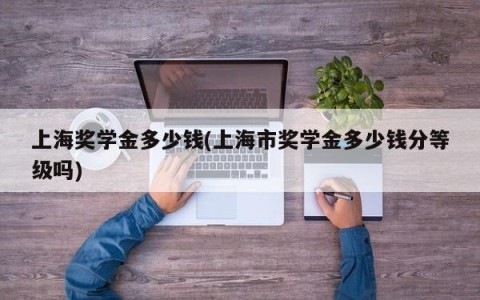 上海奖学金多少钱(上海市奖学金多少钱分等级吗)
