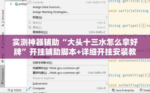 实测神器辅助“大头十三水怎么拿好牌”开挂辅助脚本+详细开挂安装教程