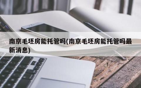 南京毛坯房能托管吗(南京毛坯房能托管吗最新消息)