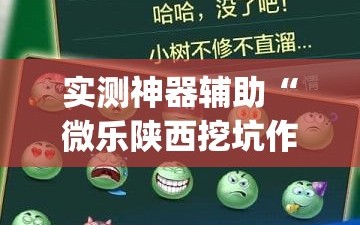实测神器辅助“微乐陕西挖坑作弊”开挂(透视)最新辅助详细