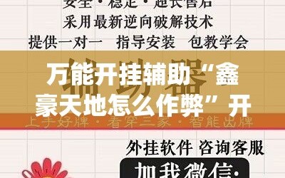 万能开挂辅助“鑫豪天地怎么作弊”开挂(透视)辅助教程
