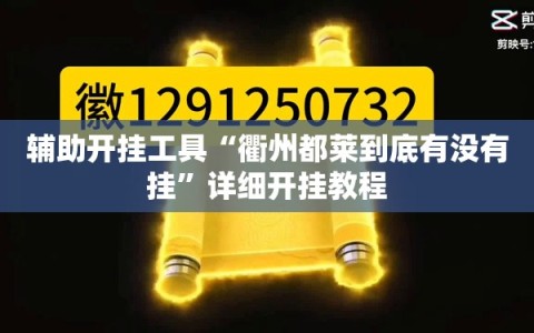 辅助开挂工具“衢州都莱到底有没有挂”详细开挂教程