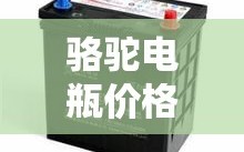 骆驼电瓶价格表/骆驼电瓶价格表12v60