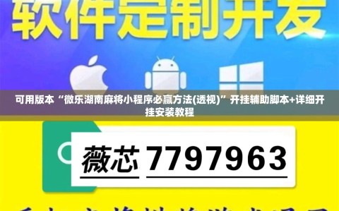 可用版本“微乐湖南麻将小程序必赢方法(透视)”开挂辅助脚本+详细开挂安装教程