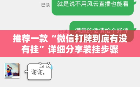 推荐一款“微信打牌到底有没有挂”详细分享装挂步骤