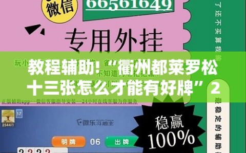 教程辅助!“衢州都莱罗松十三张怎么才能有好牌”2026开挂教程步骤