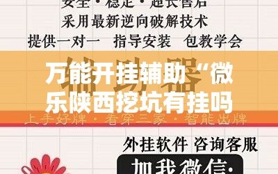 万能开挂辅助“微乐陕西挖坑有挂吗”科技辅助神器手机版