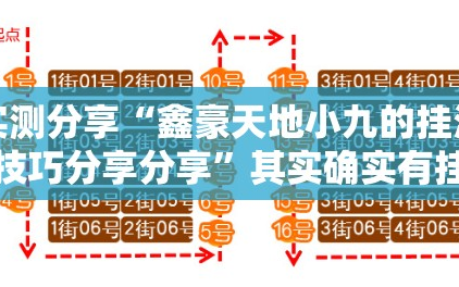 实测分享“鑫豪天地小九的挂法技巧分享分享”其实确实有挂