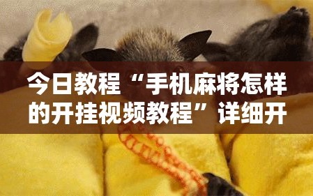 今日教程“手机麻将怎样的开挂视频教程”详细开挂教程