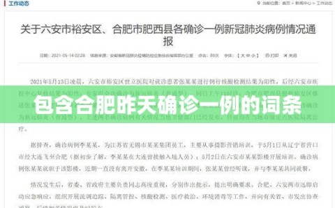 包含合肥昨天确诊一例的词条