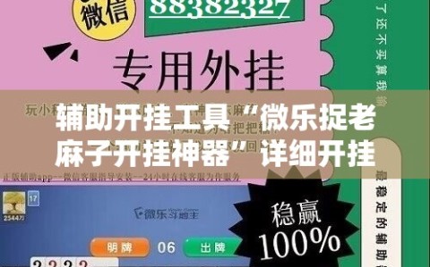辅助开挂工具“微乐捉老麻子开挂神器”详细开挂教程